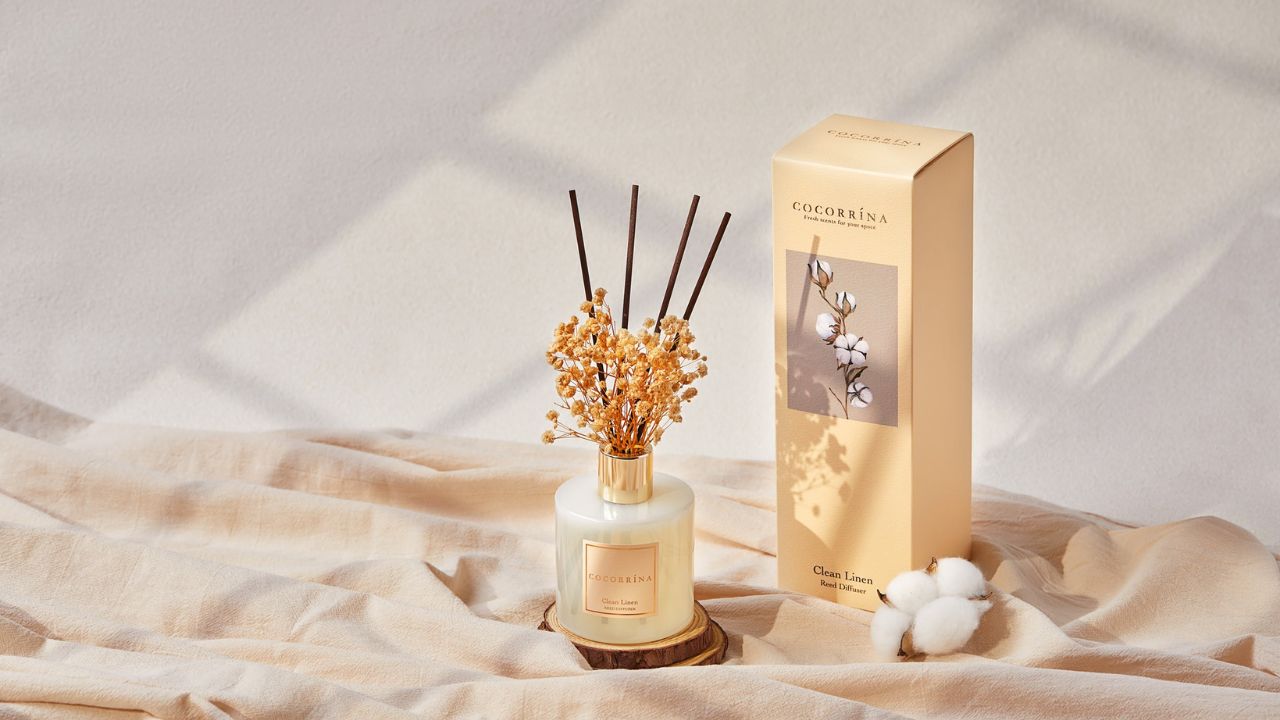 Crafting Atmosphere: Transform Your Space with Room Diffuser Selection